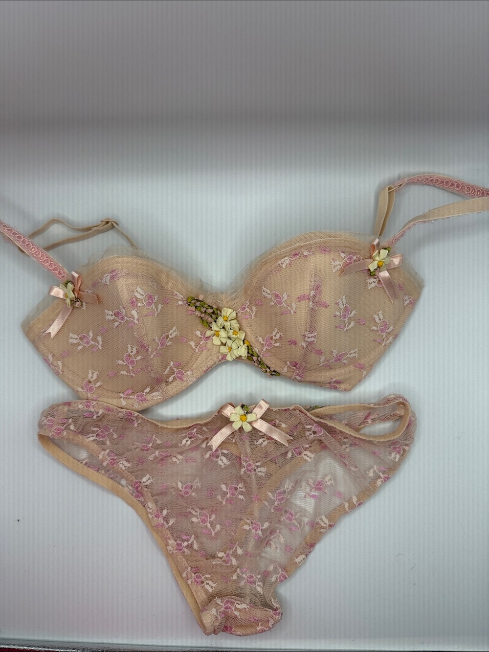 Chantal Thomass for VS embroidered lace bra and bikini set 34C / S